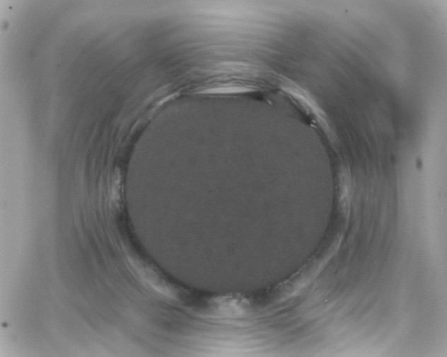 X0000066530073200603241412