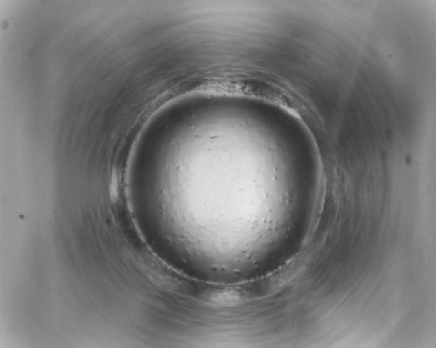 X0000066530075200603241412