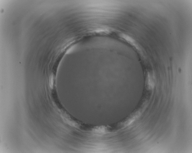 X0000066530076200603241412