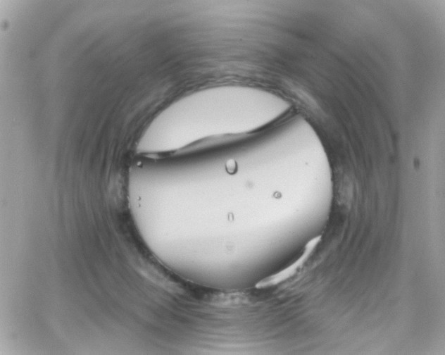 X0000066530077200603241412