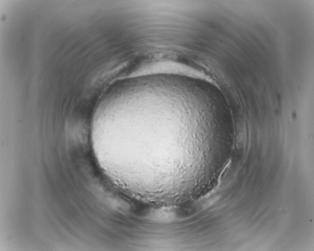 X0000066530078200603241412