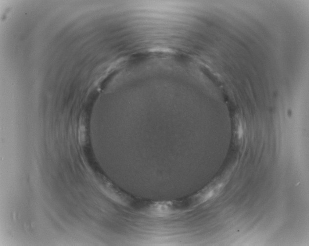 X0000066530080200603241412