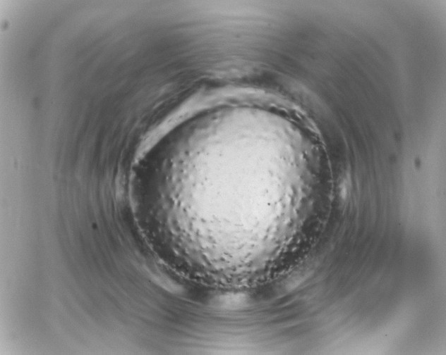 X0000066530081200603241412