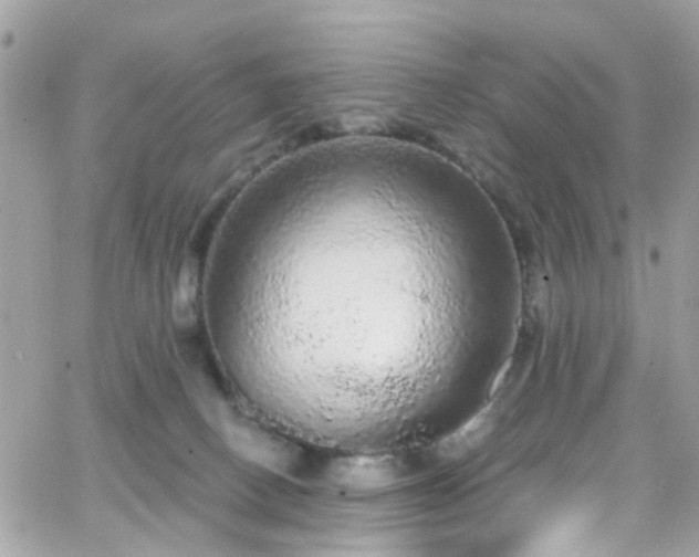 X0000066530082200603241412