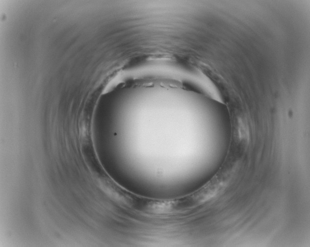 X0000066530084200603241412