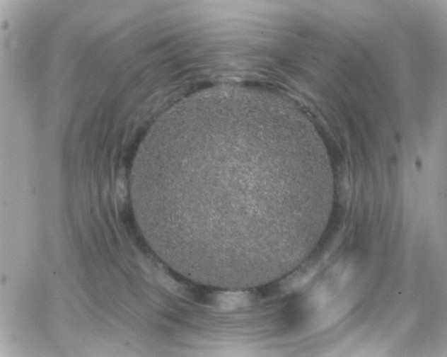 X0000066530085200603241412