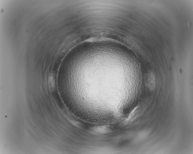 X0000066530086200603241412