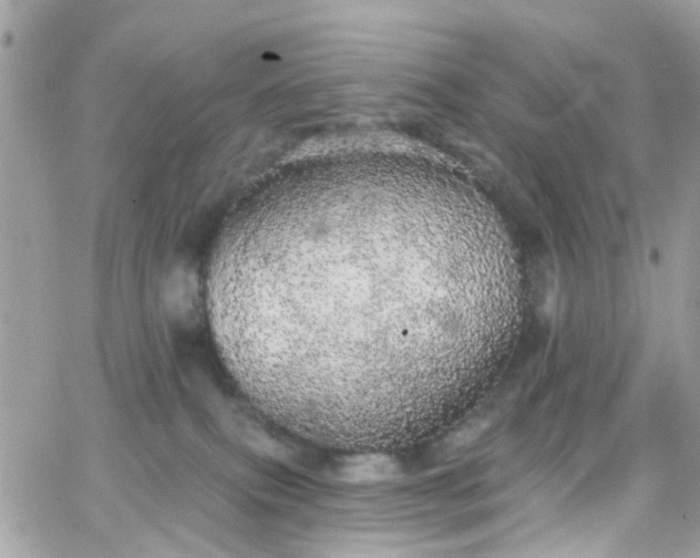 X0000066530087200603241412