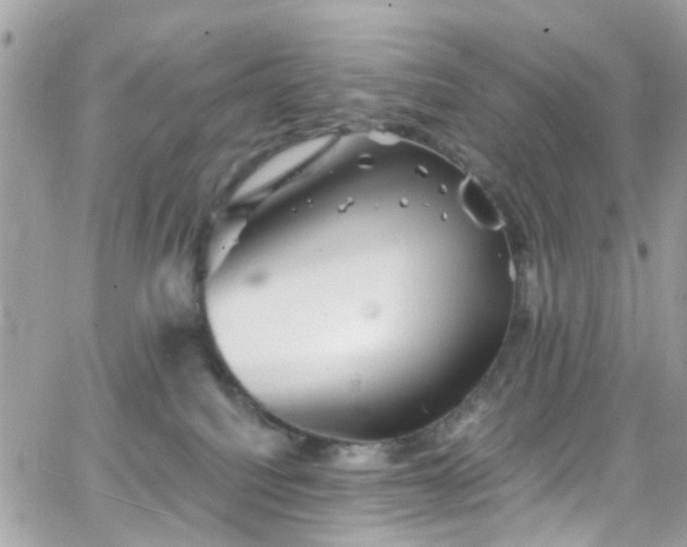 X0000066530088200603241412