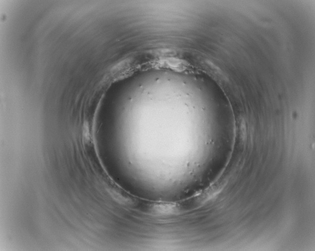 X0000066530089200603241412