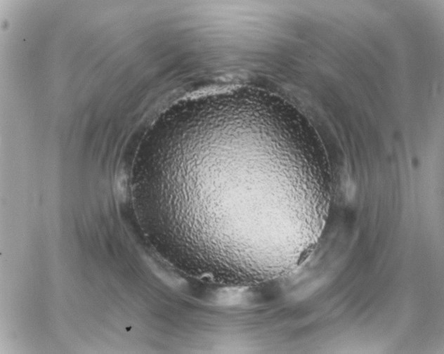 X0000066530090200603241412