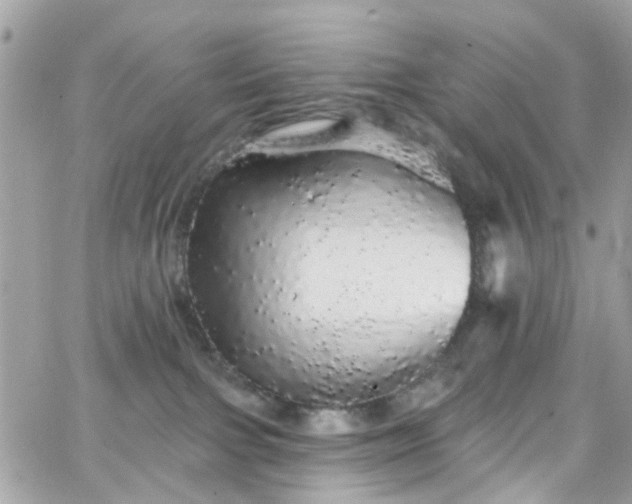 X0000066530091200603241412