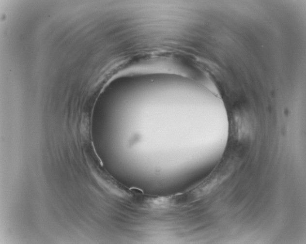 X0000066530092200603241412