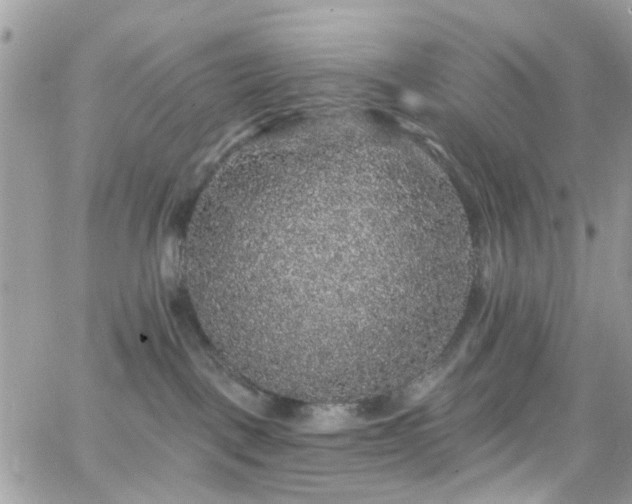 X0000066530093200603241412