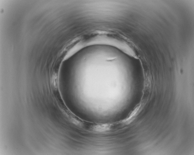 X0000066530094200603241412