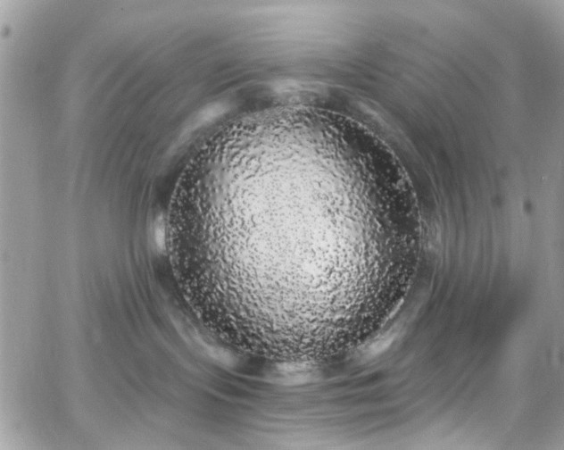 X0000066530095200603241412