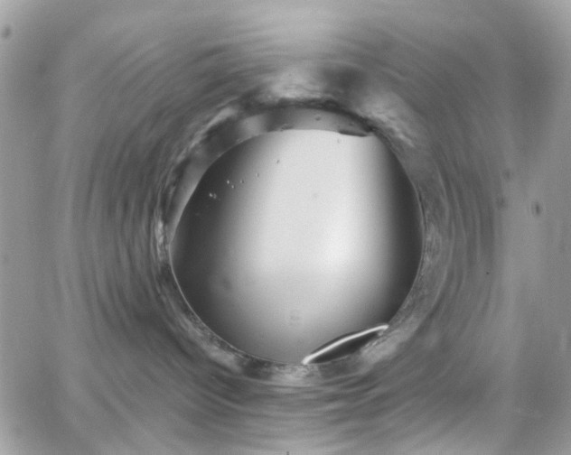 X0000066530096200603241412