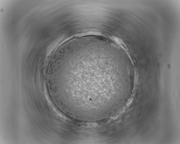 X0000066530097200603241412