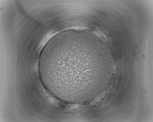 X0000066530098200603241412