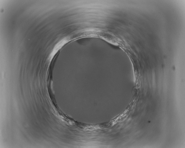 X0000066530099200603241412