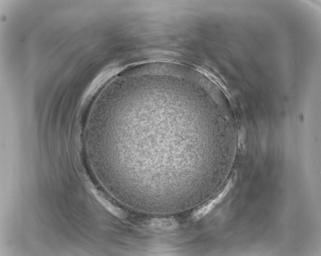 X0000066530101200603241412