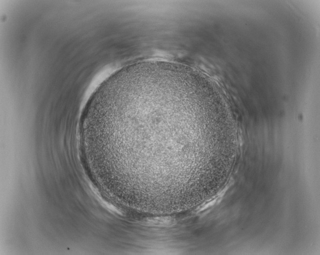 X0000066530102200603241412