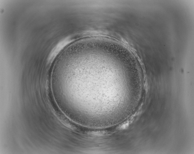 X0000066530103200603241412