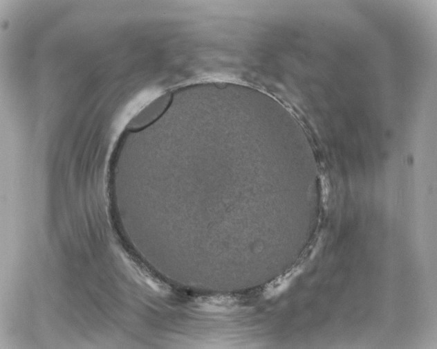 X0000066530104200603241412