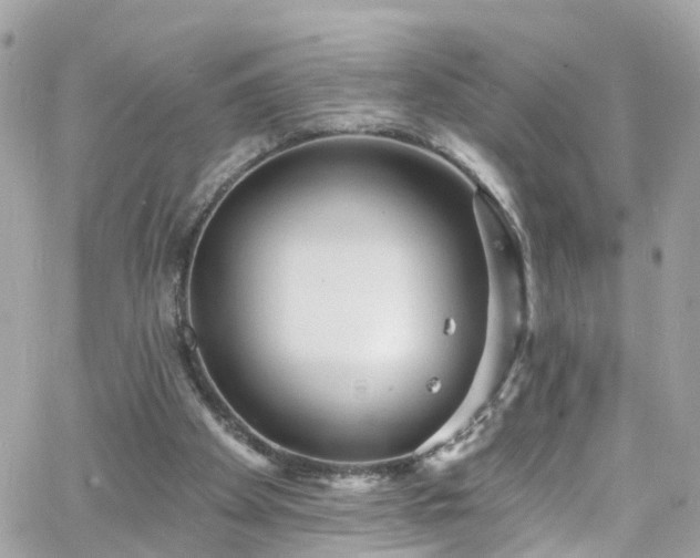 X0000066530105200603241412