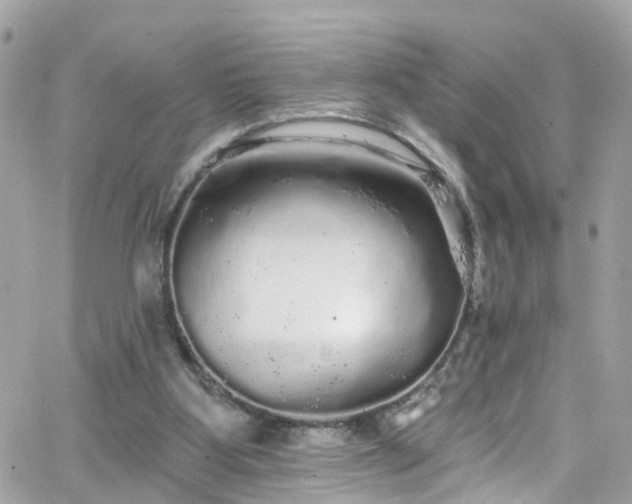 X0000066530107200603241411