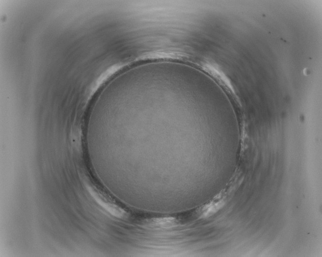 X0000066530108200603241411