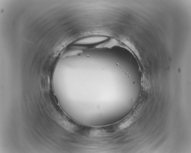 X0000066530109200603241411