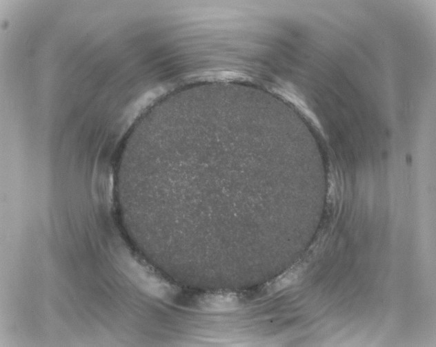 X0000066530110200603241411