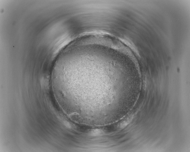 X0000066530111200603241411