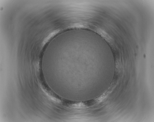 X0000066530112200603241411