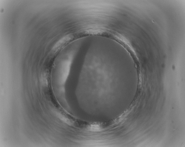 X0000066530114200603241411