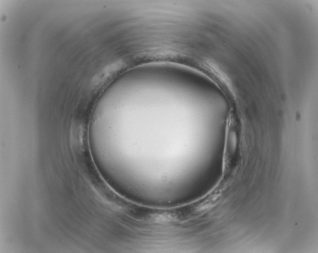 X0000066530115200603241411