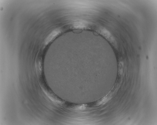 X0000066530116200603241411