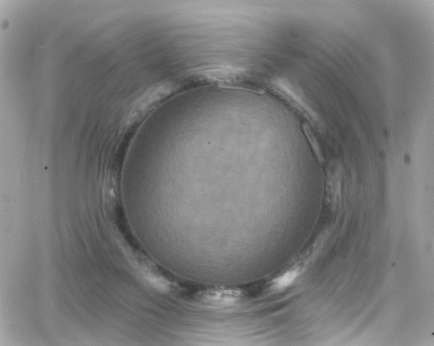 X0000066530117200603241411