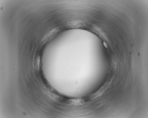 X0000066530118200603241411