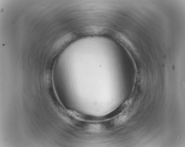 X0000066530119200603241411