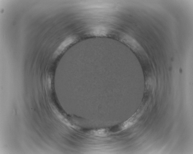 X0000066530120200603241411