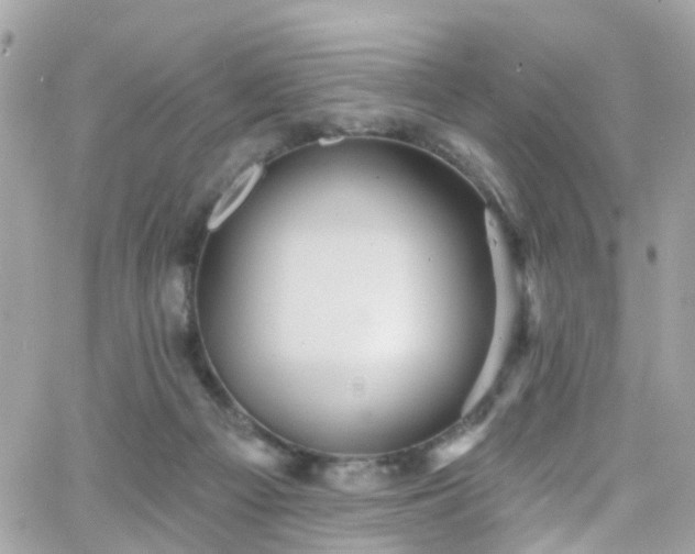 X0000066530121200603241411