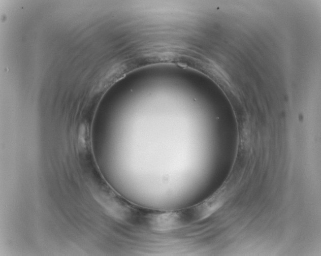 X0000066530122200603241411