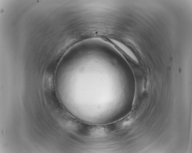 X0000066530123200603241411