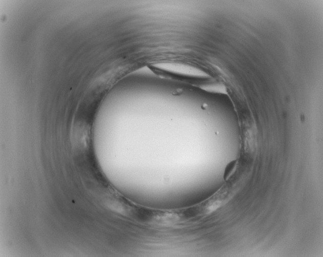 X0000066530125200603241411