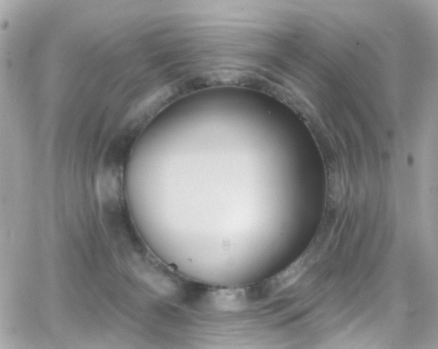 X0000066530126200603241411