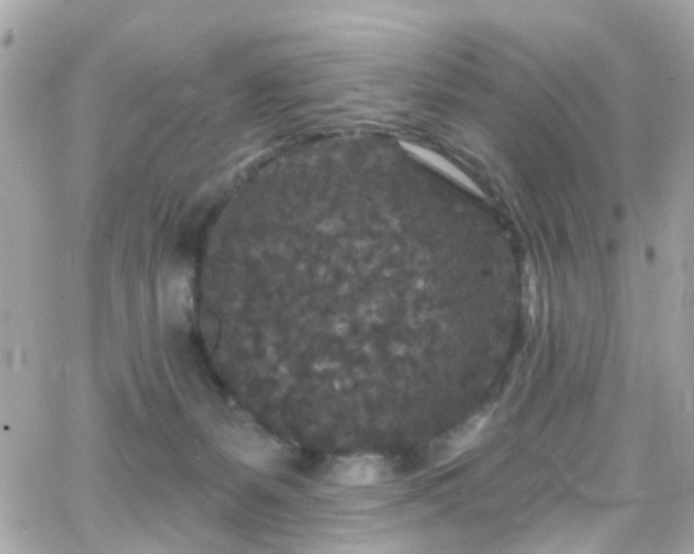 X0000066530127200603241411