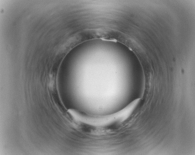 X0000066530129200603241411