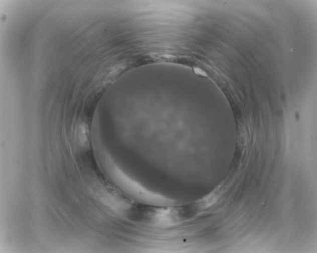 X0000066530130200603241411